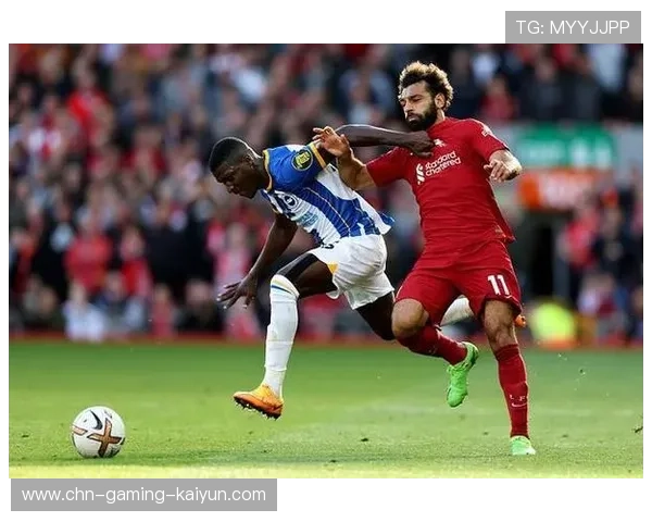 恩佐：凯塞多是一台机器，我们配得上战胜热刺，凯恩塞罗小说